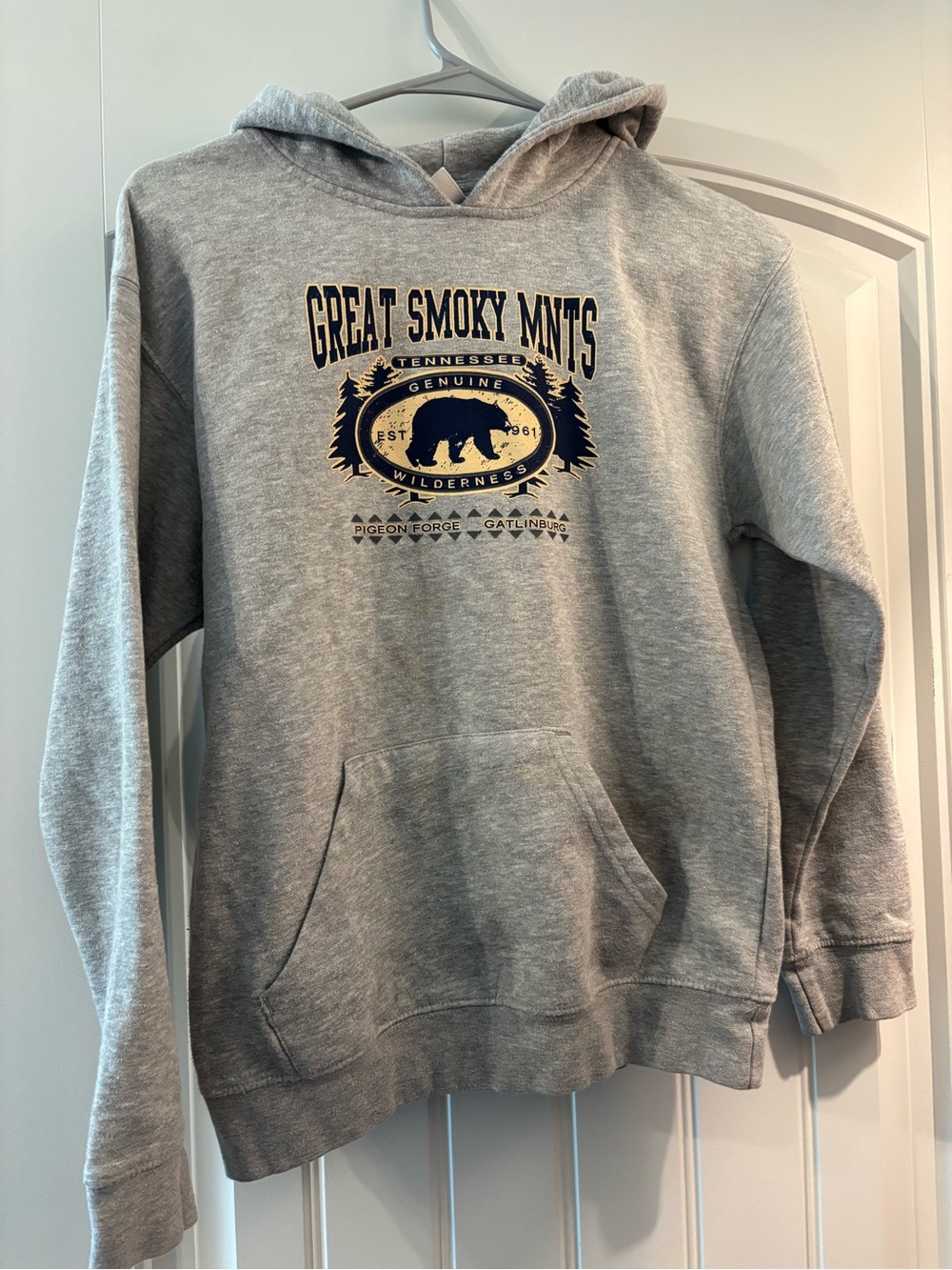 Great Smoky Mnts Men's Gray Hooded Sweatshirt